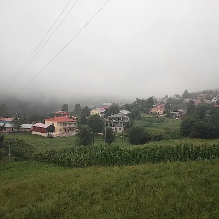 Hamsikoey Merkez *